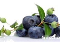 蓝莓干含有哪些营养成分