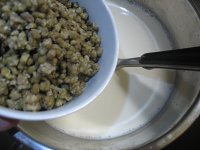 奶油绿豆冰棒的做法