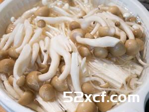 清炖金针菇汤的做法
