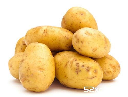 马铃薯是土豆吗？