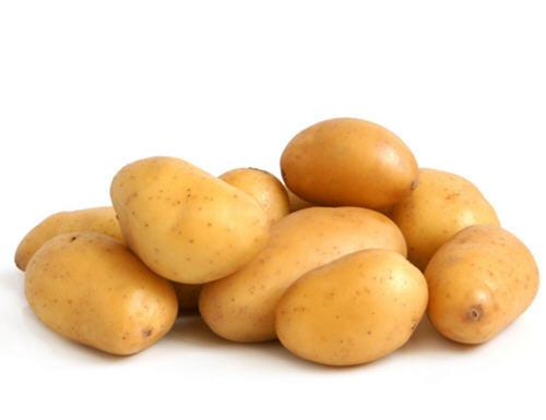 马铃薯是土豆吗？