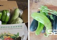 青椒汆酱茄子的做法