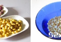 红枣玫瑰滋补豆浆饮的做法