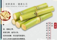 甘蔗可以缓解孕吐吗