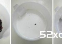 红豆冰激凌的做法