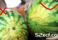 水果贩子教你怎么挑好水果