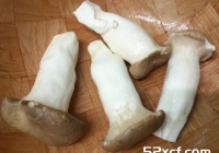 凉拌杏鲍菇配黄瓜丝的做法