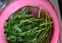 空心菜的清洗方法