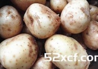 孜然小土豆的做法