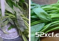 蟹味菇炒空心菜的做法