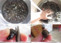 香辣炒田螺的做法