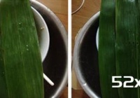 红糖蜜豆粽子的做法