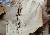 菠萝叶粽子的做法