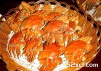 煎连壳蟹是哪里的菜？属于什么地方的菜系？