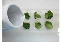 柠香苦瓜的做法
