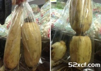 如何辨别粉藕和脆藕的方法图解