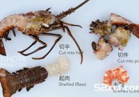 波士顿龙虾怎么处理？波士顿龙虾的清洗方法图解