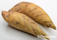 吃冬笋的小技巧和注意注意事项