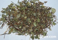 络石藤的功效与作用及食用方法