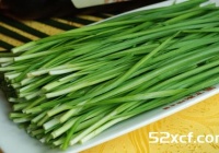 怎么挑选新鲜韭菜的技巧