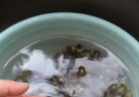 香辣酱炒螺蛳的做法