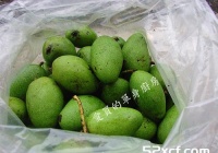 青芒果蜜饯的做法