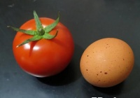 巫婆料理：毒伞菇的做法