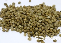 火麻籽的功效与作用