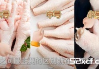 柠檬无骨鸡爪的配方