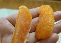 橘子巧克力味水果软糖的做法图解