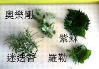 马铃薯鸡肉奶油炖菜的做法