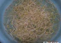 清炒黄豆芽的做法