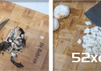 做扬州狮子头的