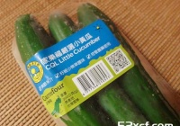 法式乡村鸡肉的做法