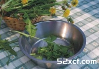 凉拌蒲公英的做法