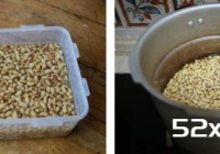 水豆豉的制作方法
