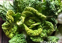 清炒黄心乌菜的做法