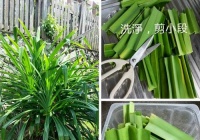 娘惹棕子的做法