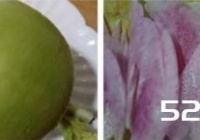 糖醋萝卜丝的腌制方法