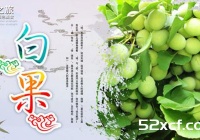 白果的药用价值