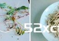 青椒拌鱼腥草的做法