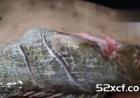 家庭臭鱼的正宗腌制方法