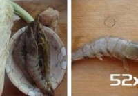 白菜炒大虾的做法