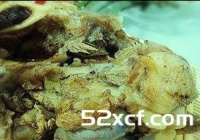 清炖筒子骨的做法