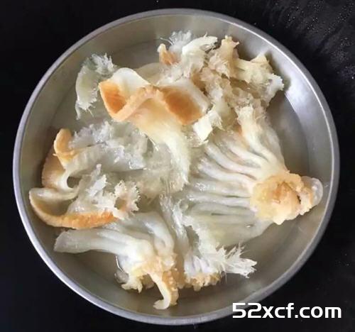 鱼翅鸡汤电压力锅