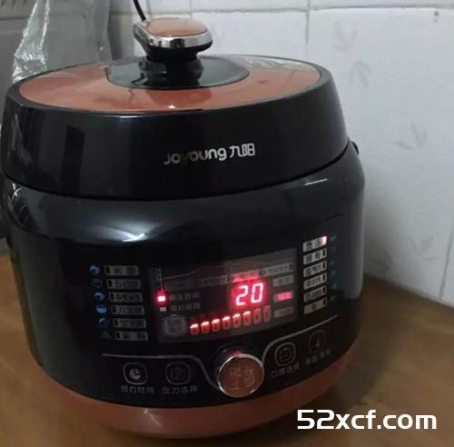 鱼翅鸡汤电压力锅