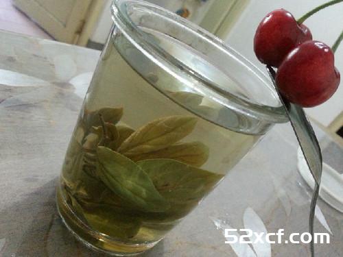 柿叶蜂蜜茶的做法