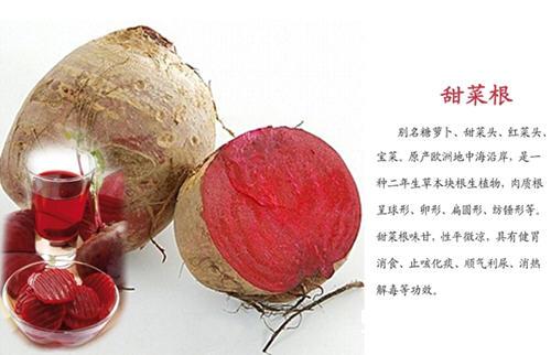 甜菜根的功效与作用及食用方法