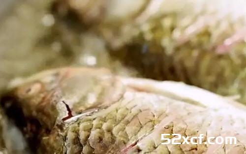 月子餐鲫鱼汤做法_图解坐月子喝的鲫鱼汤怎么做-我爱下厨房