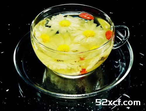 冬季能喝苦丁茶吗？冬天喝苦丁茶好吗？